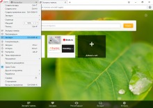 Opera экспресс панель